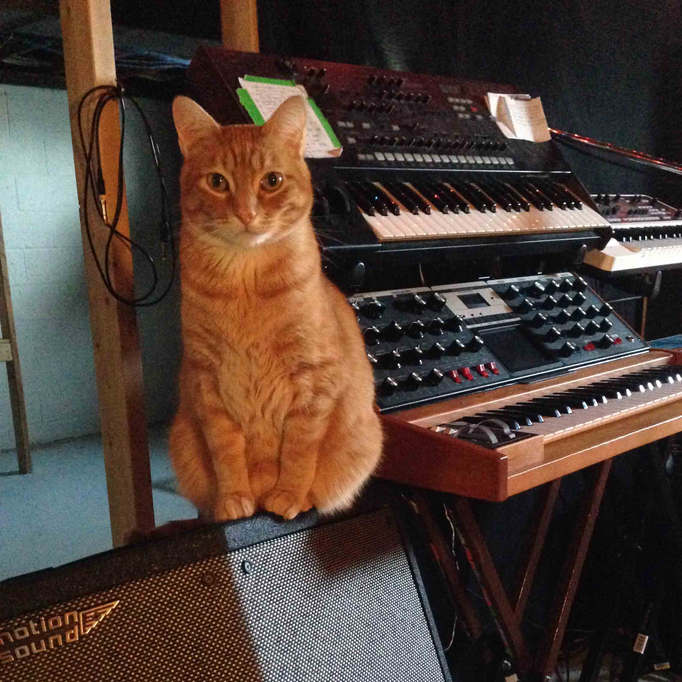/Uploads2/16983_4_18_2014_6_11_02_PM_-_Milton_on_keyboard_amp.jpg